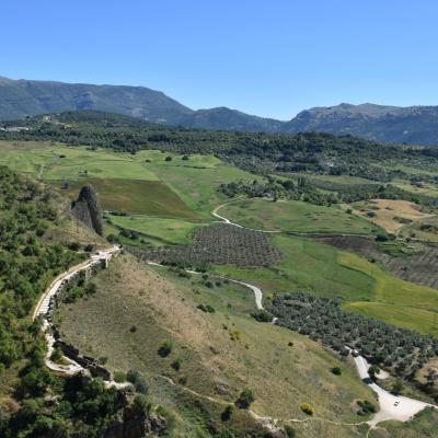 Mgp 2022 ronda 2