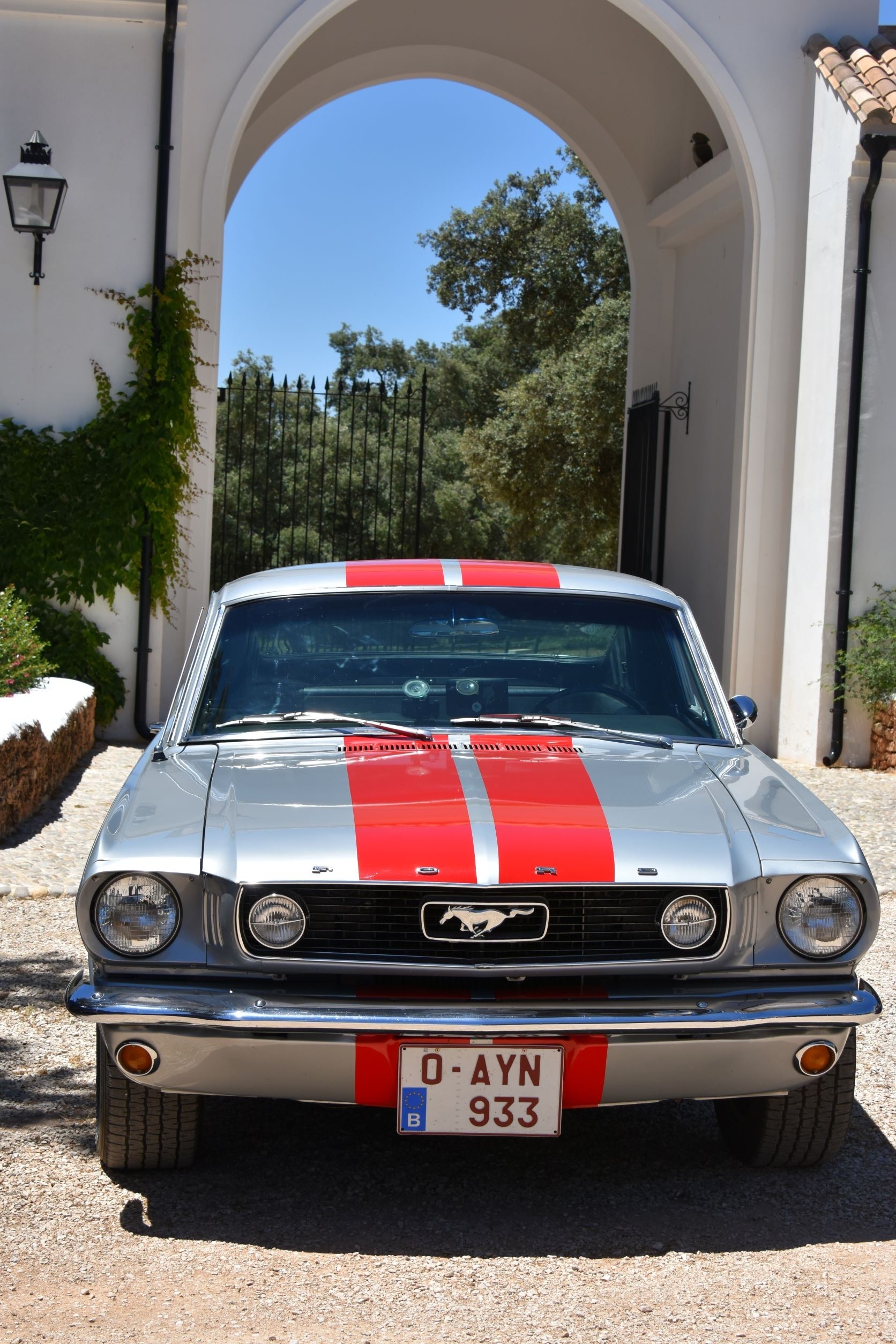 Mustang 1966