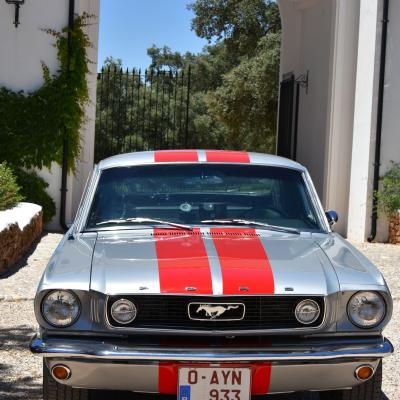 Mustang 1966